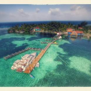 Фотографии гостиницы
Blue Marlin Beach Resort