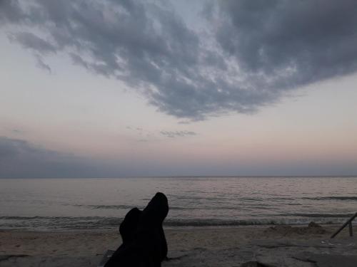 Фотографии гостиницы
All to us! On the see! Stroitel 3!