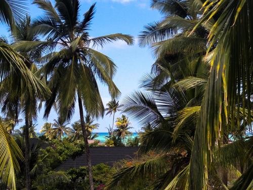 Фотография гостиницы Aluna Paje