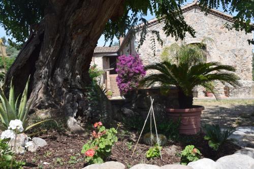 Фотография базы отдыха Agriturismo Fellino