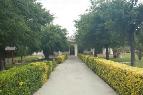 Фотография гостевого дома Relais La Mimosa