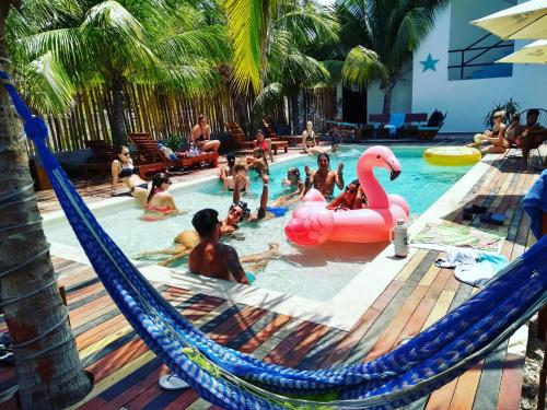 Фотография хостела Che Holbox Hostel & Bar
