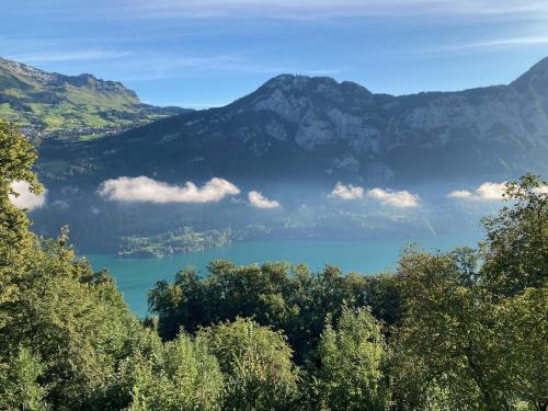 Фотография гостиницы Hotel Cafe Seeblick