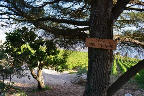 Фотография гостевого дома Casa nel Vigneto Erice