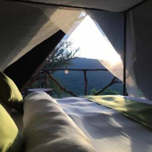 Фотографии базы отдыха
Pembeni Rhotia