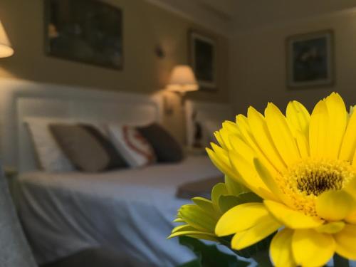 Фотография мини отеля Cornell Hotel de France