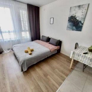 Фотография квартиры Апартаменты на улице Сосновая 5