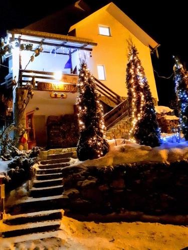 Фотография гостевого дома Cabana Maly