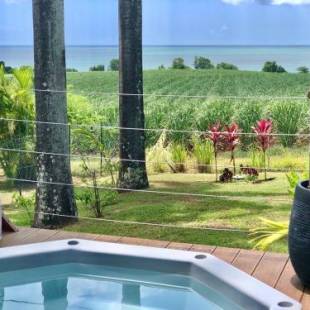 Фотографии гостевого дома 
            Indigo Palmes