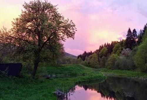 Фотографии гостиницы
Healing Retreat Space =Svitlo=