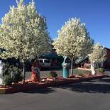 Фотография мотеля Sandia Peak Inn at Old Town Albuquerque