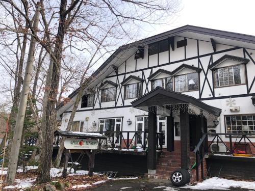 Фотография гостиницы Apricot Pension