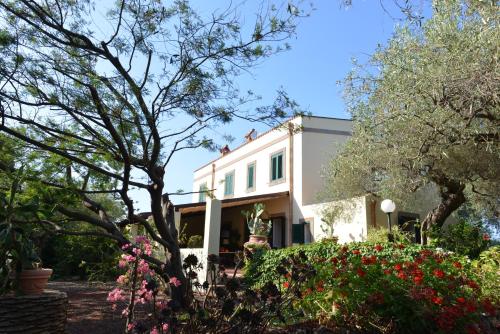 Фотография мини отеля B&B Don Gaspano