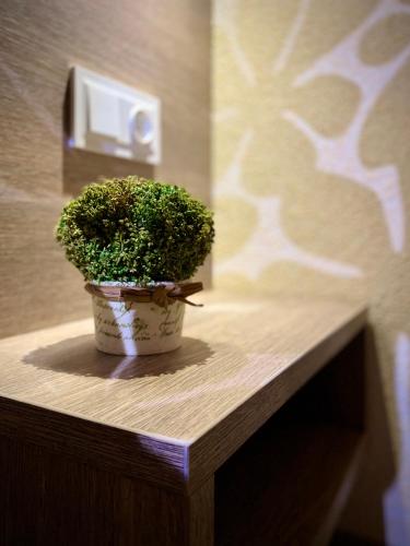 Фотографии гостевого дома 
            Жданова Апарт