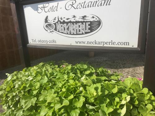 Фотография гостевого дома Hotel-Restaurant Neckarperle