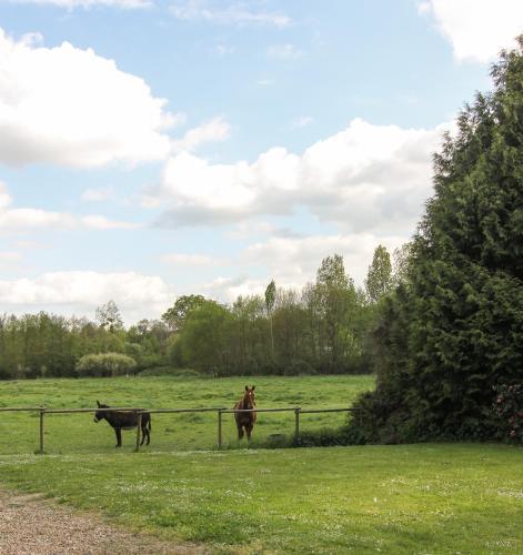 Фотография мини отеля Le Moulin de Montrésor