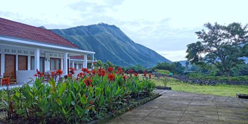 Фотографии гостиницы 
            Rinjani Hill Hotel