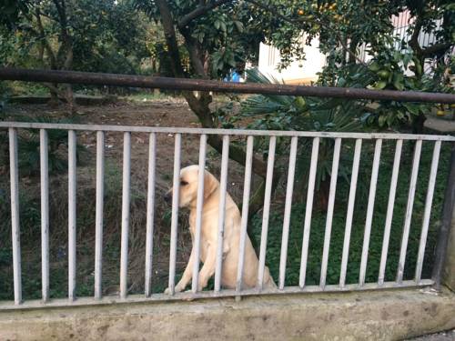 Фотография гостевого дома Jemal's Guest House