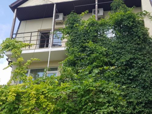 Фотография гостевого дома Красная 21