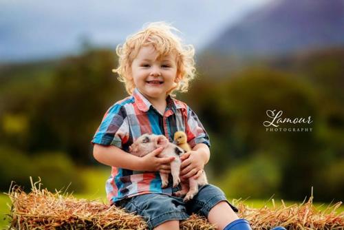 Фотография базы отдыха Blackwattle Farm