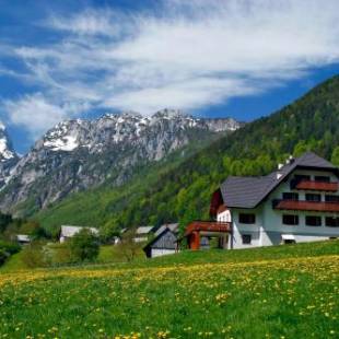 Фотографии базы отдыха
Govc-Vršnik