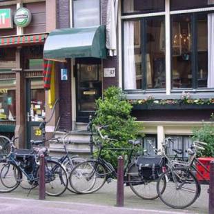 Фотографии гостиницы
Quentin Golden Bear Hotel