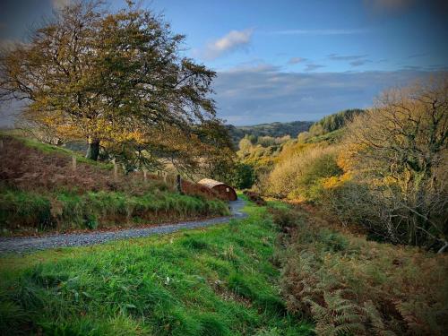 Фотография гостевого дома Birdsong Lodge