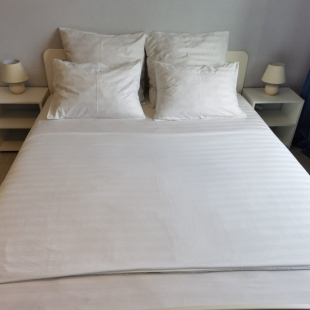 Фотография квартиры Апартаменты Zns Apart Луначарского 49