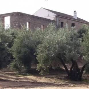 Фотографии гостевого дома
Viña Las Olivas