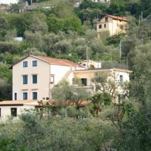 Фотографии базы отдыха
Gli Ulivi Agriturismo