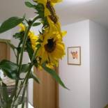 Фотография гостевого дома A Fonda do Norte