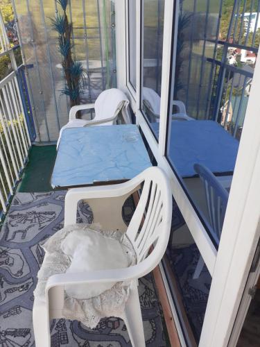 Фотография хостела Ольгинка