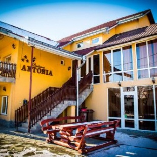 Фотография гостевого дома Pensiunea Antonia