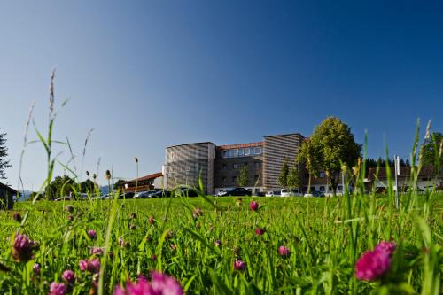 Фотография гостиницы Hotel Kaufmann