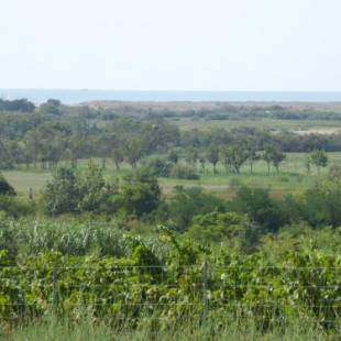 Фотографии гостевого дома
Location au calme vue sur le canal du midi et la mer