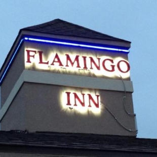 Фотография мотеля Flamingo Inn