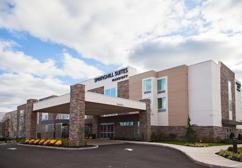 Фотография гостиницы SpringHill Suites by Marriott Somerset Franklin Township