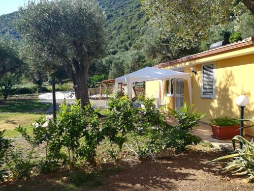 Фотографии гостевого дома 
            Casa tra mare e oliveti