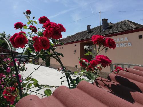 Фотография гостевого дома Casa Bianca