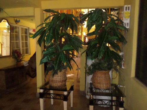 Фотография гостевого дома Hospedaje Barato Mi Casita de Colores