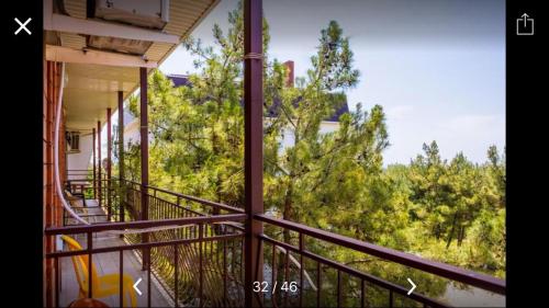 Фотография гостевого дома Сосновый бор