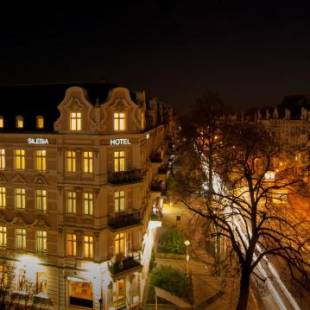 Фотографии гостиницы 
            Hotel Silesia