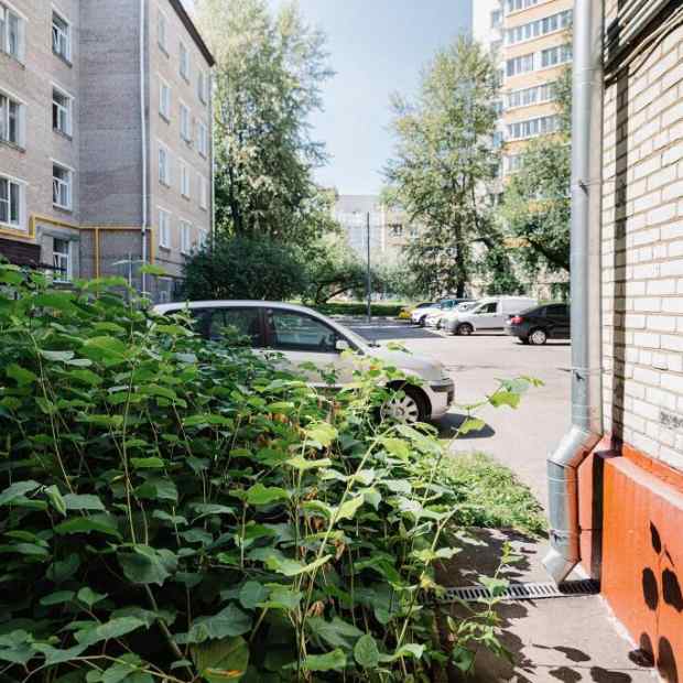 Фотографии квартиры 
            ArendaGrad на улице Нагорная