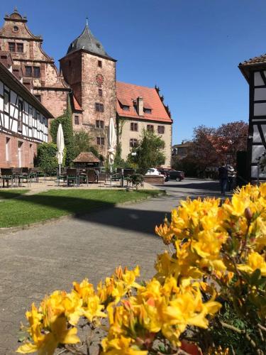 Фотография гостиницы Hotel Vorderburg