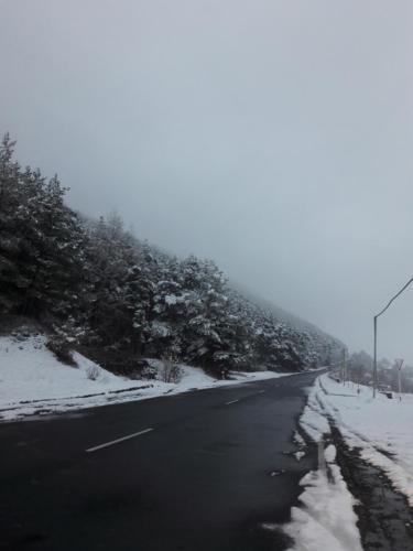 Фотография гостевого дома Nayada Rest House