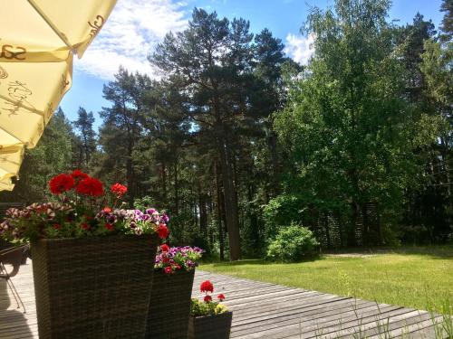 Фотография мини отеля Verevi Motel