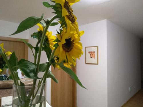 Фотография гостевого дома A Fonda do Norte