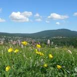 Фотография гостевого дома Harzpension Haus Königskopf