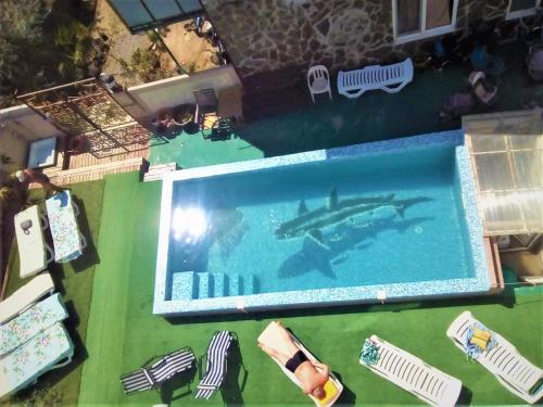 Фотографии гостевого дома
Азов Сафари