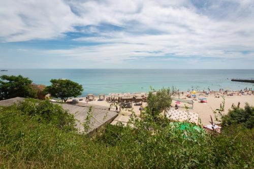 Фотографии хостела
Steller